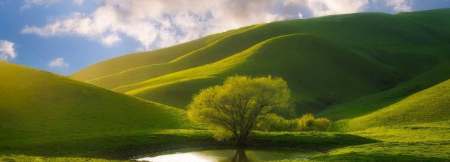 Header Image