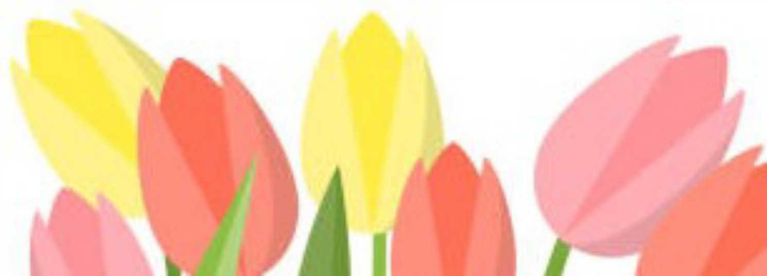 Header Image