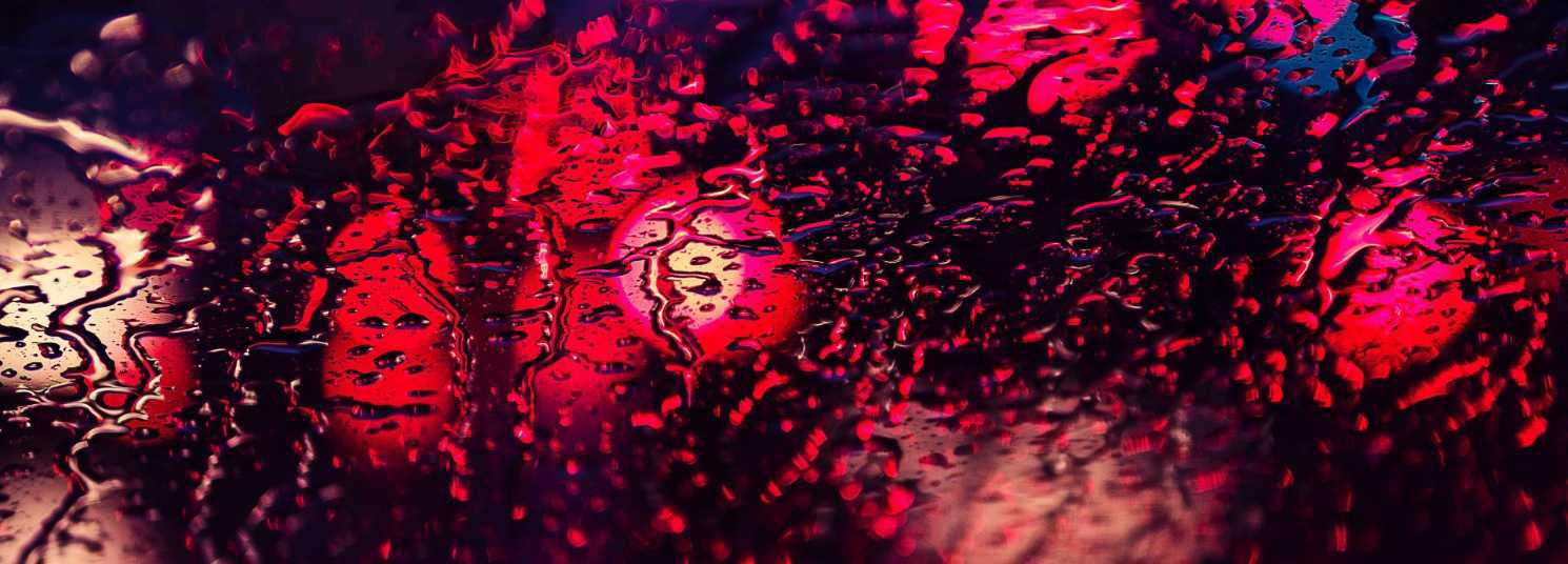 Header Image
